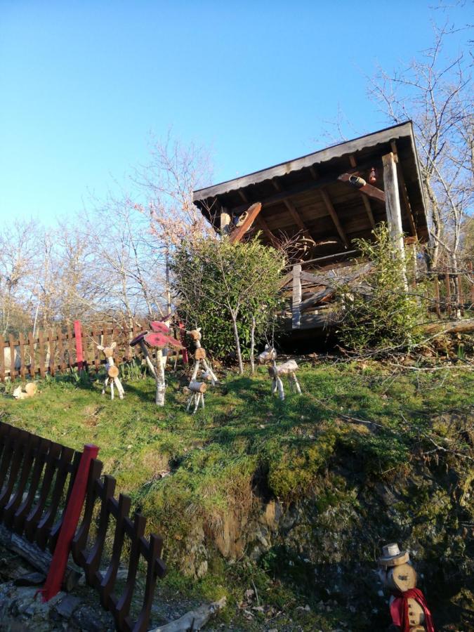 Hébergement de vacances Du Durrenbach *